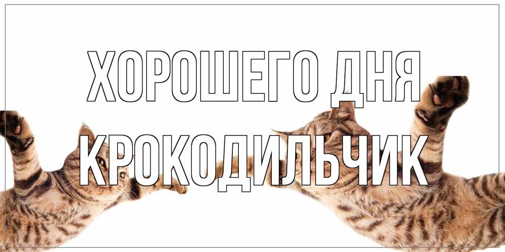 Открытка на каждый день с именем, Крокодильчик Хорошего дня хорошего дня Прикольная открытка с пожеланием онлайн скачать бесплатно 