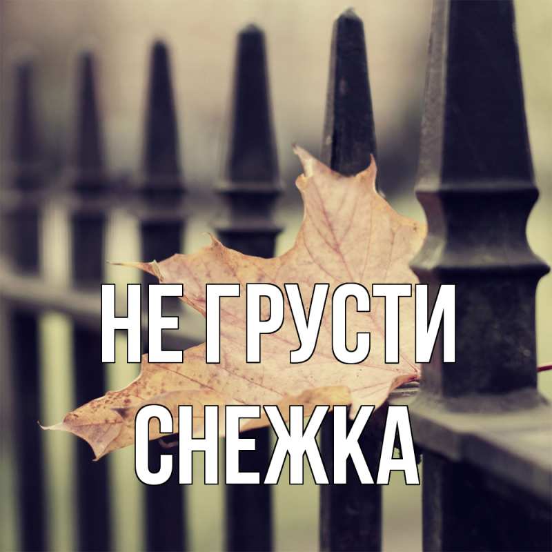 Картинка Не грусти, Снежка