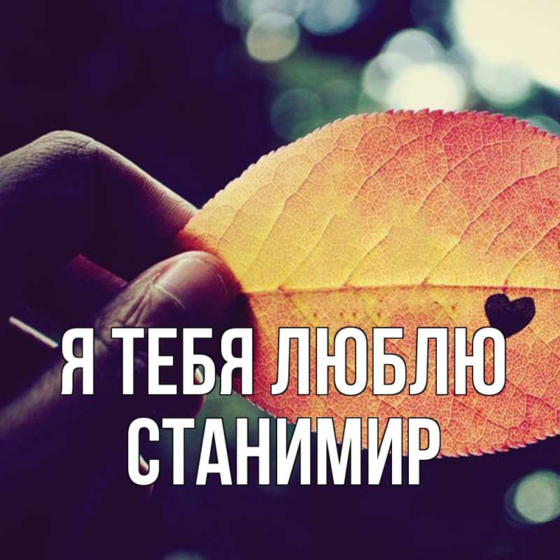 Картинка Я тебя люблю, Станимир