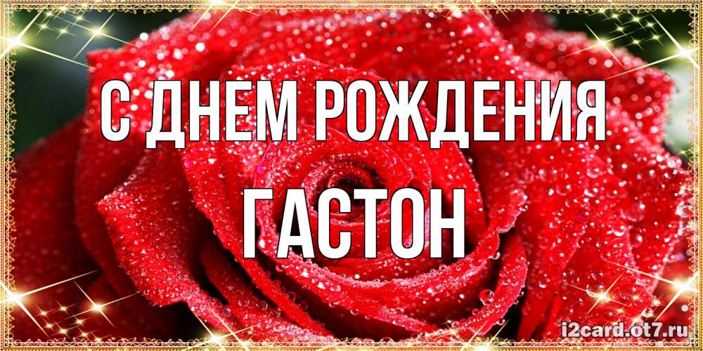 Открытка на каждый день с именем, Гастон С днем рождения роса и роза. открытка с красивой розой Прикольная открытка с пожеланием онлайн скачать бесплатно 
