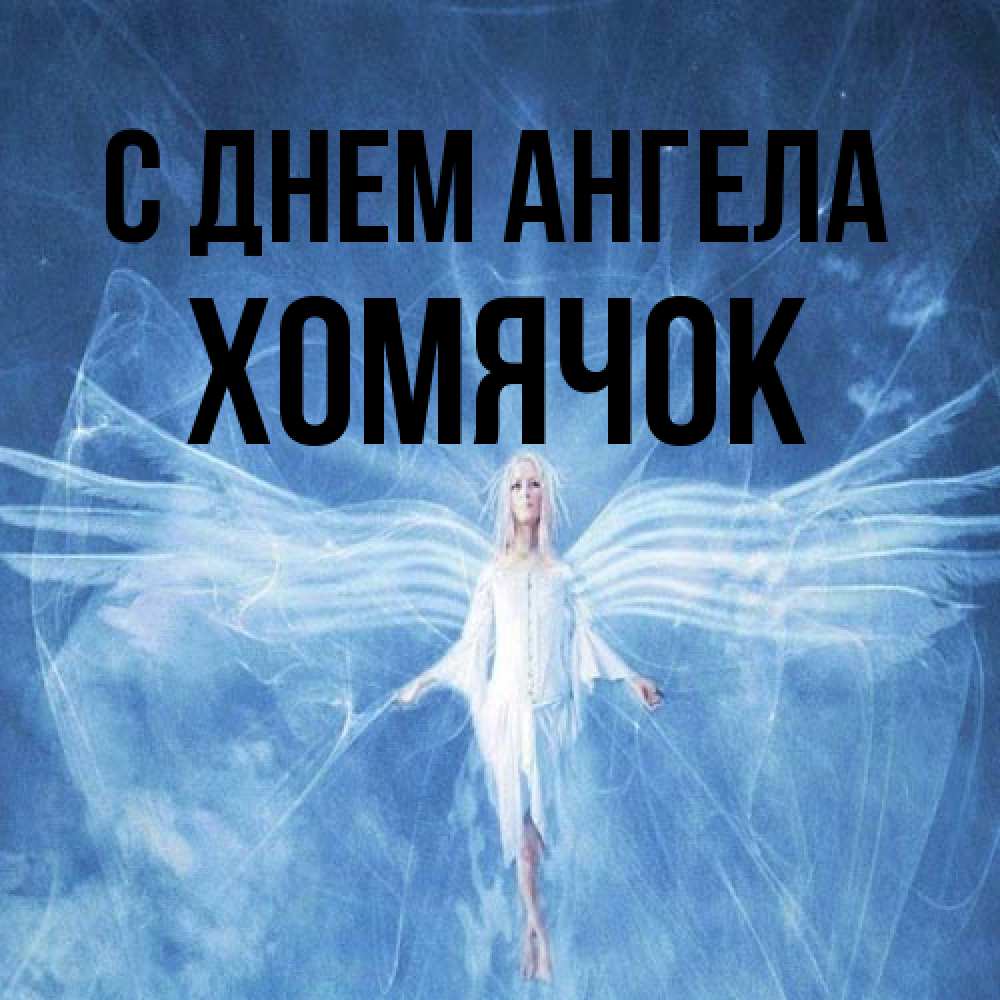 Открытка на каждый день с именем, Хомячок С днем ангела голубой фон и крылья как у стрекозы Прикольная открытка с пожеланием онлайн скачать бесплатно 