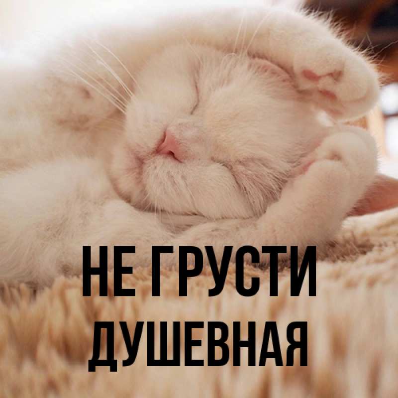 Картинка Не грусти, Душевная