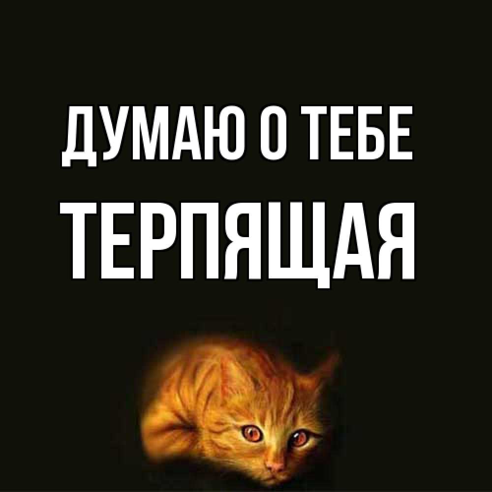 Открытка на каждый день с именем, Терпящая Думаю о тебе рыжий Прикольная открытка с пожеланием онлайн скачать бесплатно 