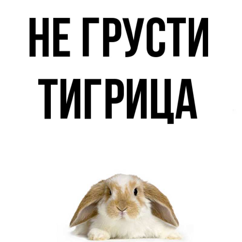 Картинка Не грусти, Тигрица