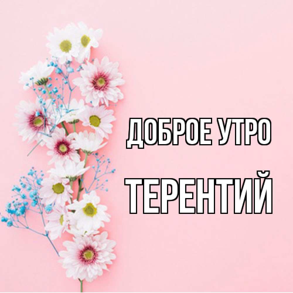 Открытка на каждый день с именем, Терентий Доброе утро цветы с подписью Прикольная открытка с пожеланием онлайн скачать бесплатно 