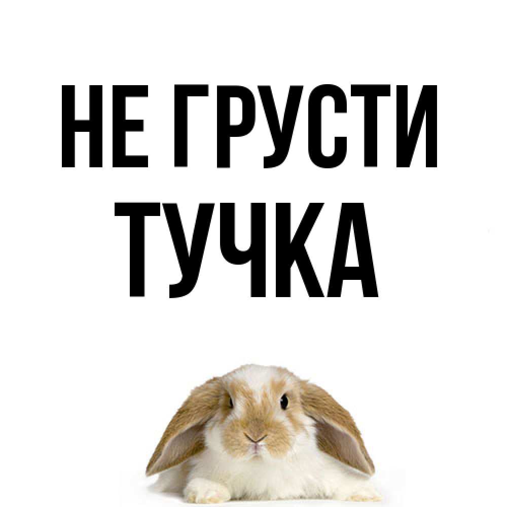 Открытка на каждый день с именем, Тучка Не грусти коричнево белый заяц с большими ушками Прикольная открытка с пожеланием онлайн скачать бесплатно 