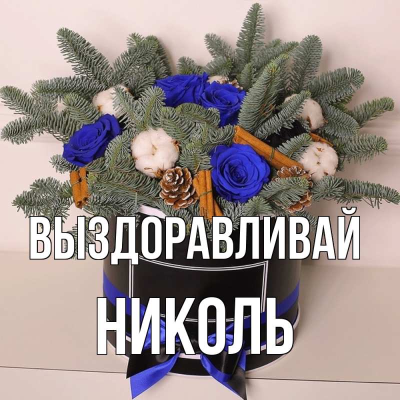 Картинка Выздоравливай, Николь