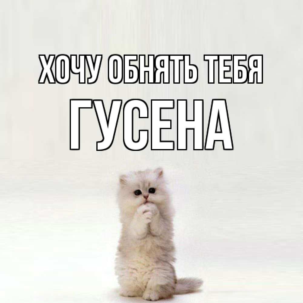 Открытка на каждый день с именем, гусена Хочу обнять тебя открытки с креативными подписями Прикольная открытка с пожеланием онлайн скачать бесплатно 