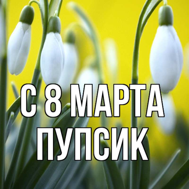 Картинка C 8 МАРТА, пупсик
