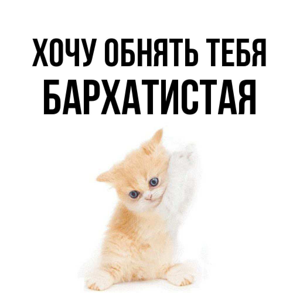 Открытка на каждый день с именем, Бархатистая Хочу обнять тебя я хочу очень скорее обнимаешек Прикольная открытка с пожеланием онлайн скачать бесплатно 