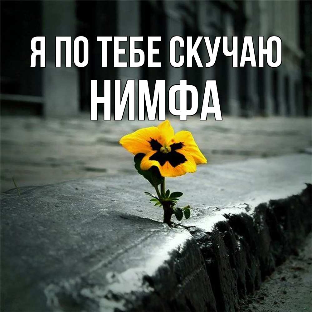 Открытка на каждый день с именем, Нимфа Я по тебе скучаю надеюсь будет лучше Прикольная открытка с пожеланием онлайн скачать бесплатно 