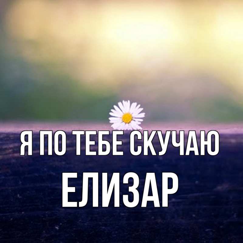 Картинка Я по тебе скучаю, Елизар