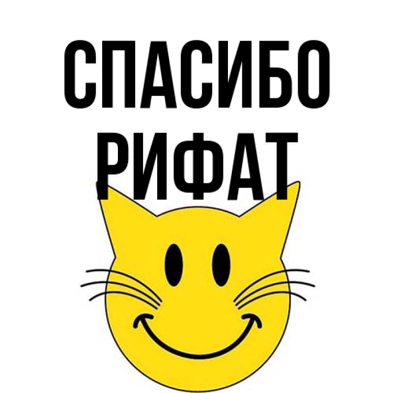 Картинка Спасибо, Рифат