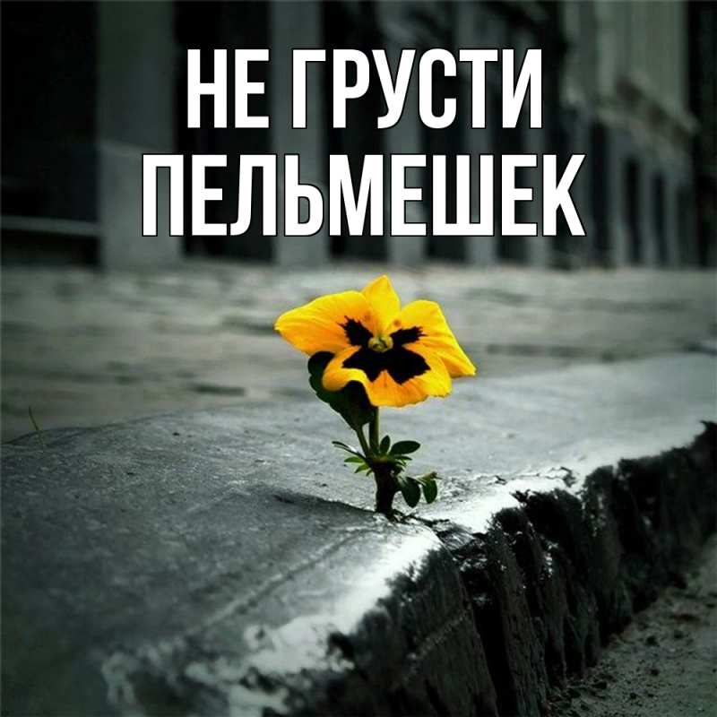 Картинка Не грусти, пельмешек