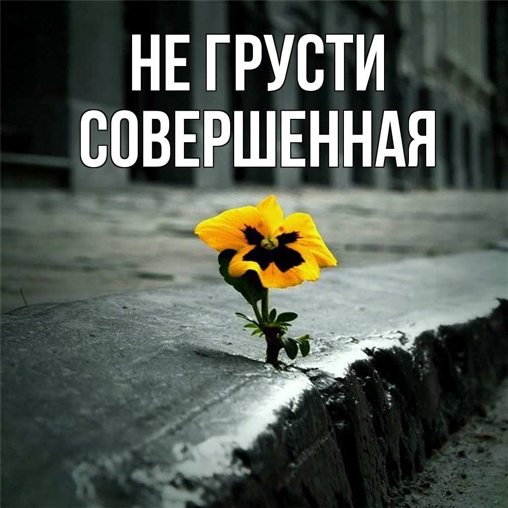 Открытка на каждый день с именем, Совершенная Не грусти не сдавайся Прикольная открытка с пожеланием онлайн скачать бесплатно 