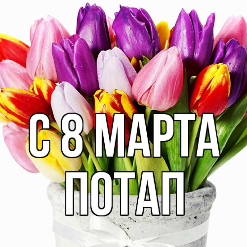 Картинка C 8 МАРТА, Потап