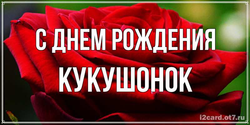 Картинка С днем рождения, кукушонок