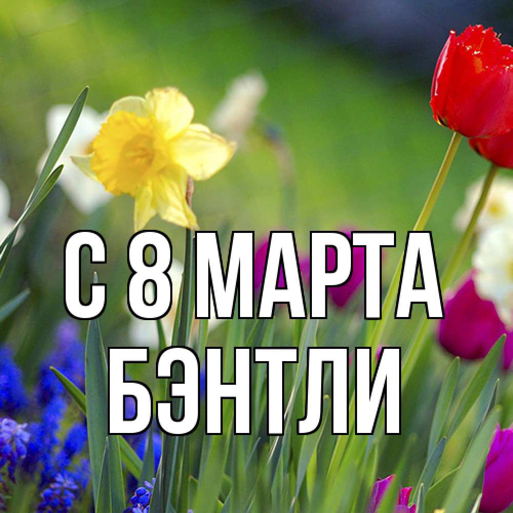 Открытка на каждый день с именем, Бэнтли C 8 МАРТА международный женский день 3 Прикольная открытка с пожеланием онлайн скачать бесплатно 