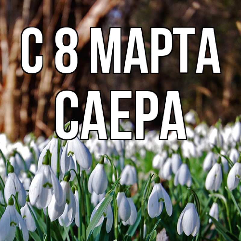 Картинка C 8 МАРТА, Саера