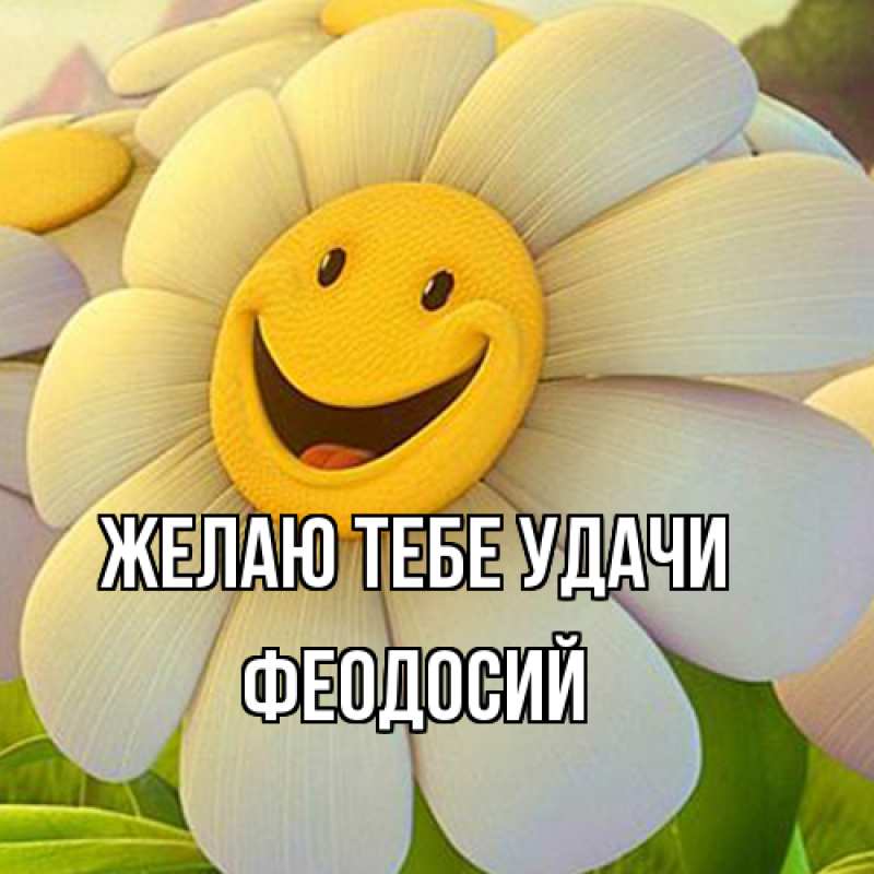 Картинка Желаю тебе удачи, Феодосий