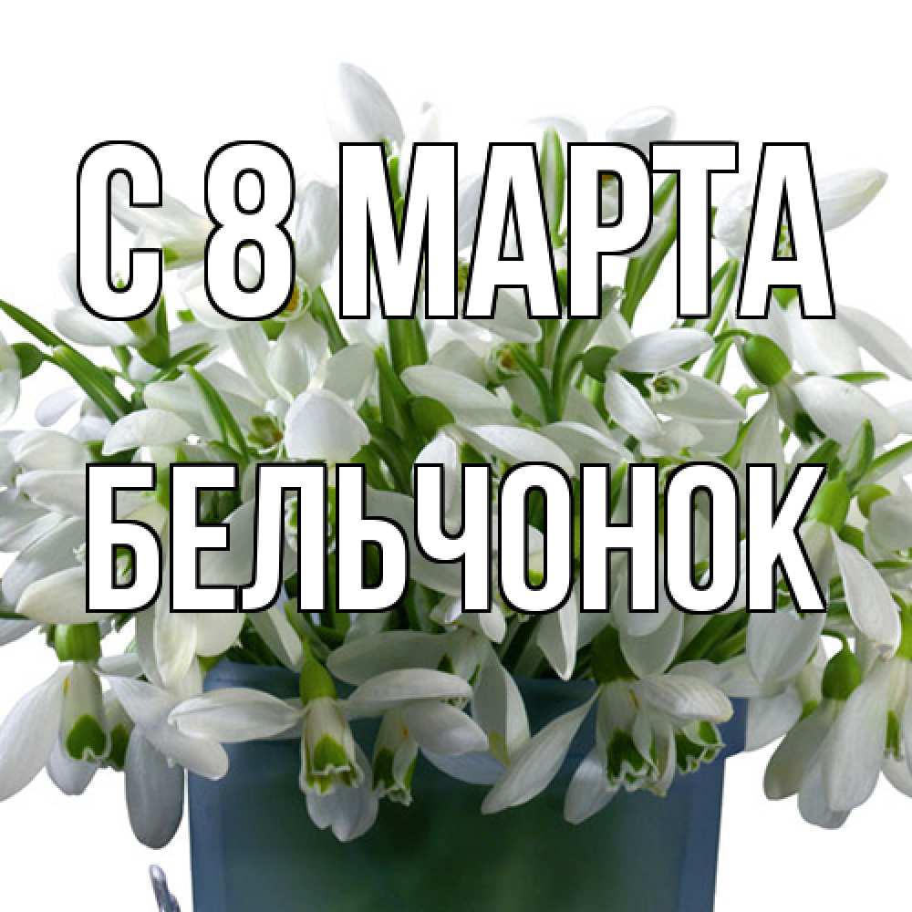 Открытка на каждый день с именем, бельчонок C 8 МАРТА цветы к международному женскому дню Прикольная открытка с пожеланием онлайн скачать бесплатно 
