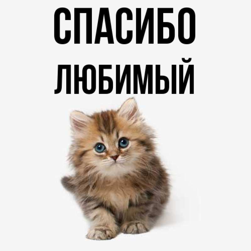 Картинка Спасибо, Любимый