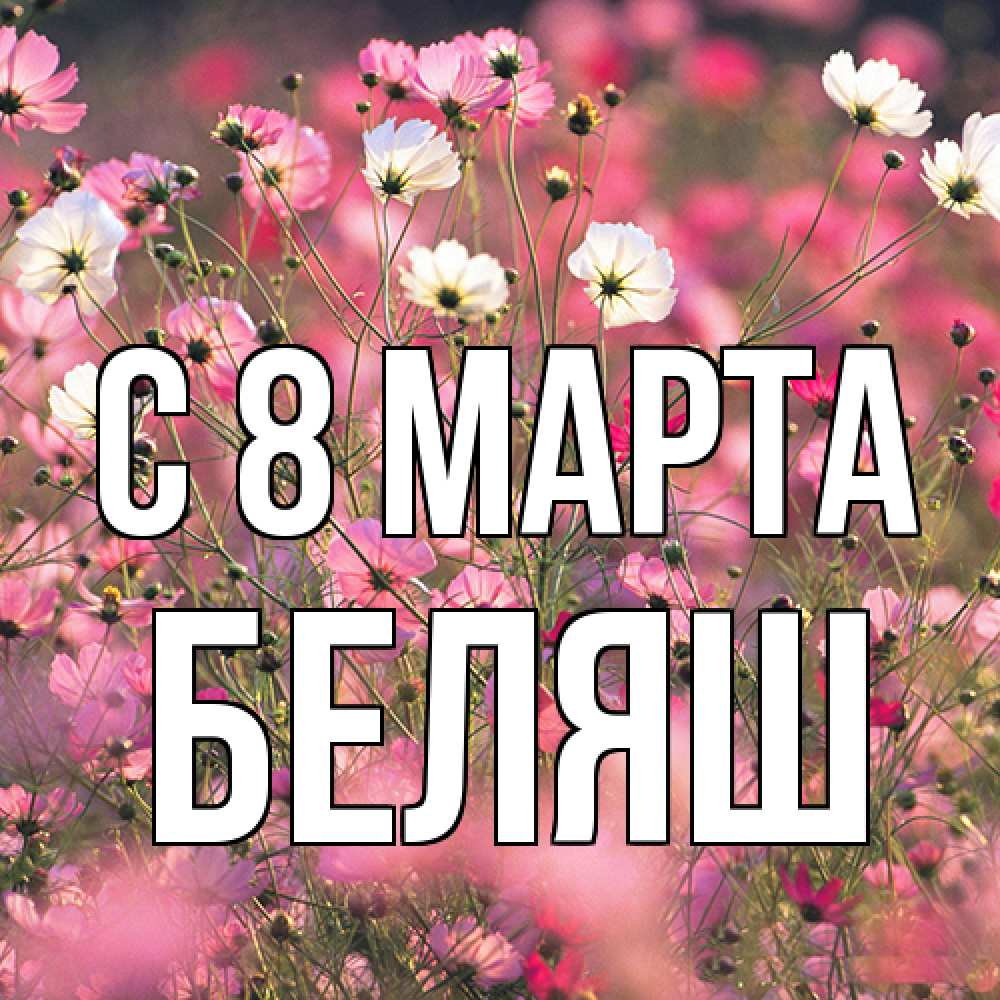 Открытка на каждый день с именем, Беляш C 8 МАРТА красиво 1 Прикольная открытка с пожеланием онлайн скачать бесплатно 