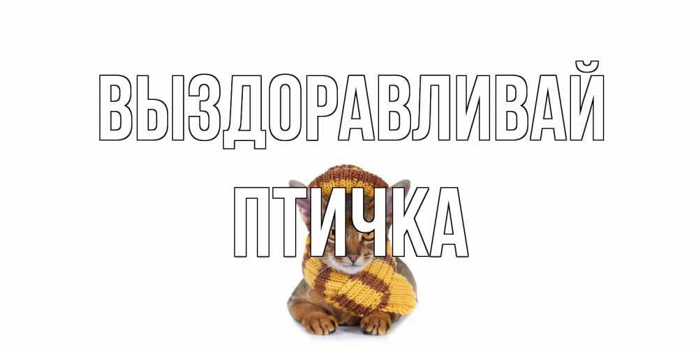 Открытка на каждый день с именем, Птичка Выздоравливай родные не болейте Прикольная открытка с пожеланием онлайн скачать бесплатно 
