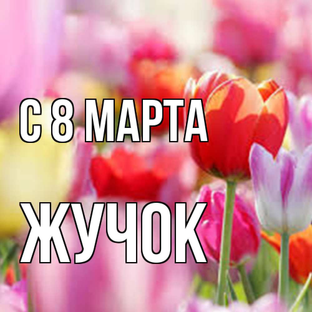 Открытка на каждый день с именем, жучок C 8 МАРТА на международный женский день 2 Прикольная открытка с пожеланием онлайн скачать бесплатно 