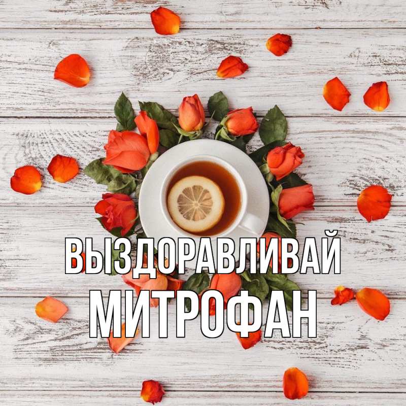 Картинка Выздоравливай, Митрофан