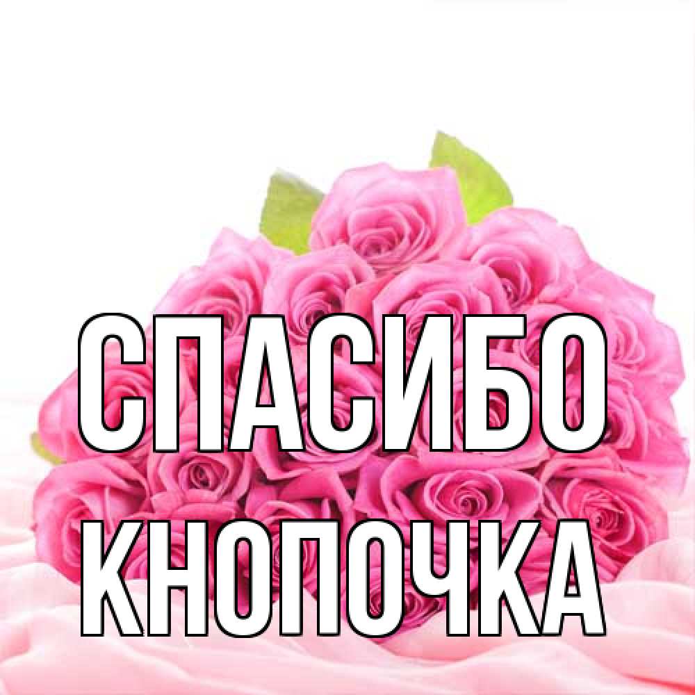 Открытка на каждый день с именем, Кнопочка Спасибо розовые розы с подписью Прикольная открытка с пожеланием онлайн скачать бесплатно 