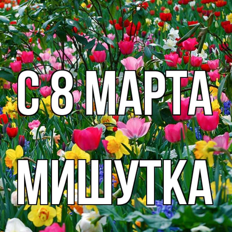 Картинка C 8 МАРТА, Мишутка