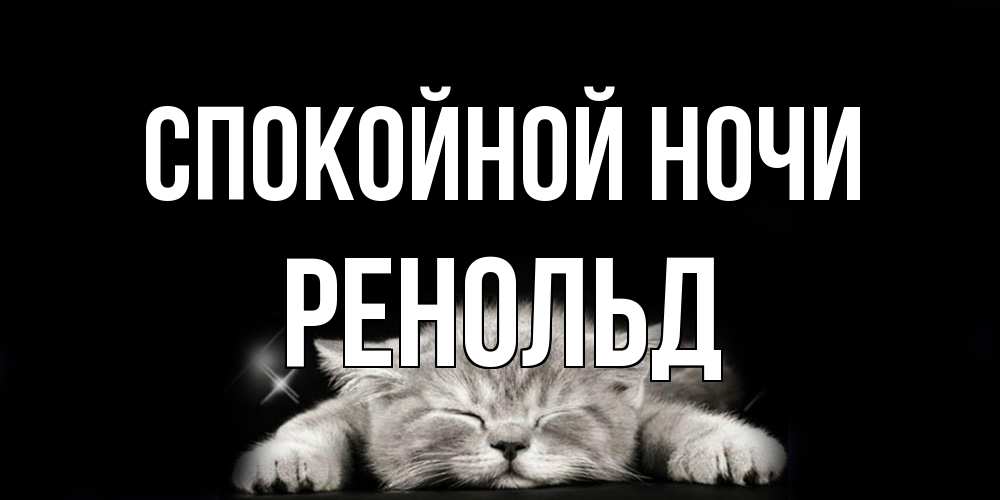 Открытка на каждый день с именем, Ренольд Спокойной ночи спящий котик Прикольная открытка с пожеланием онлайн скачать бесплатно 