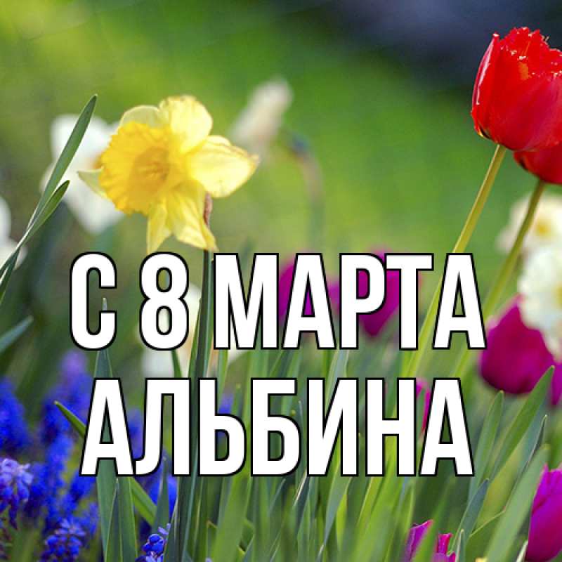 Картинка C 8 МАРТА, Альбина
