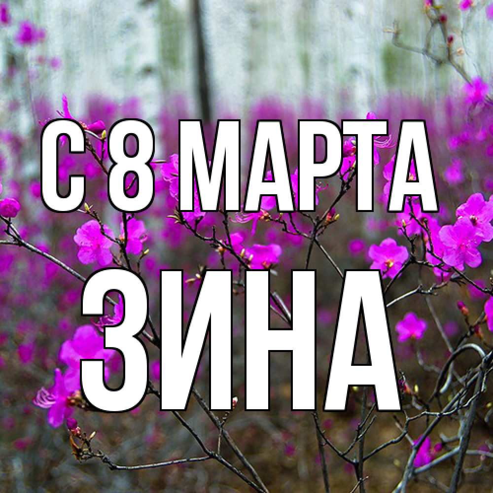 Открытка на каждый день с именем, Зина C 8 МАРТА дикие цветы Прикольная открытка с пожеланием онлайн скачать бесплатно 