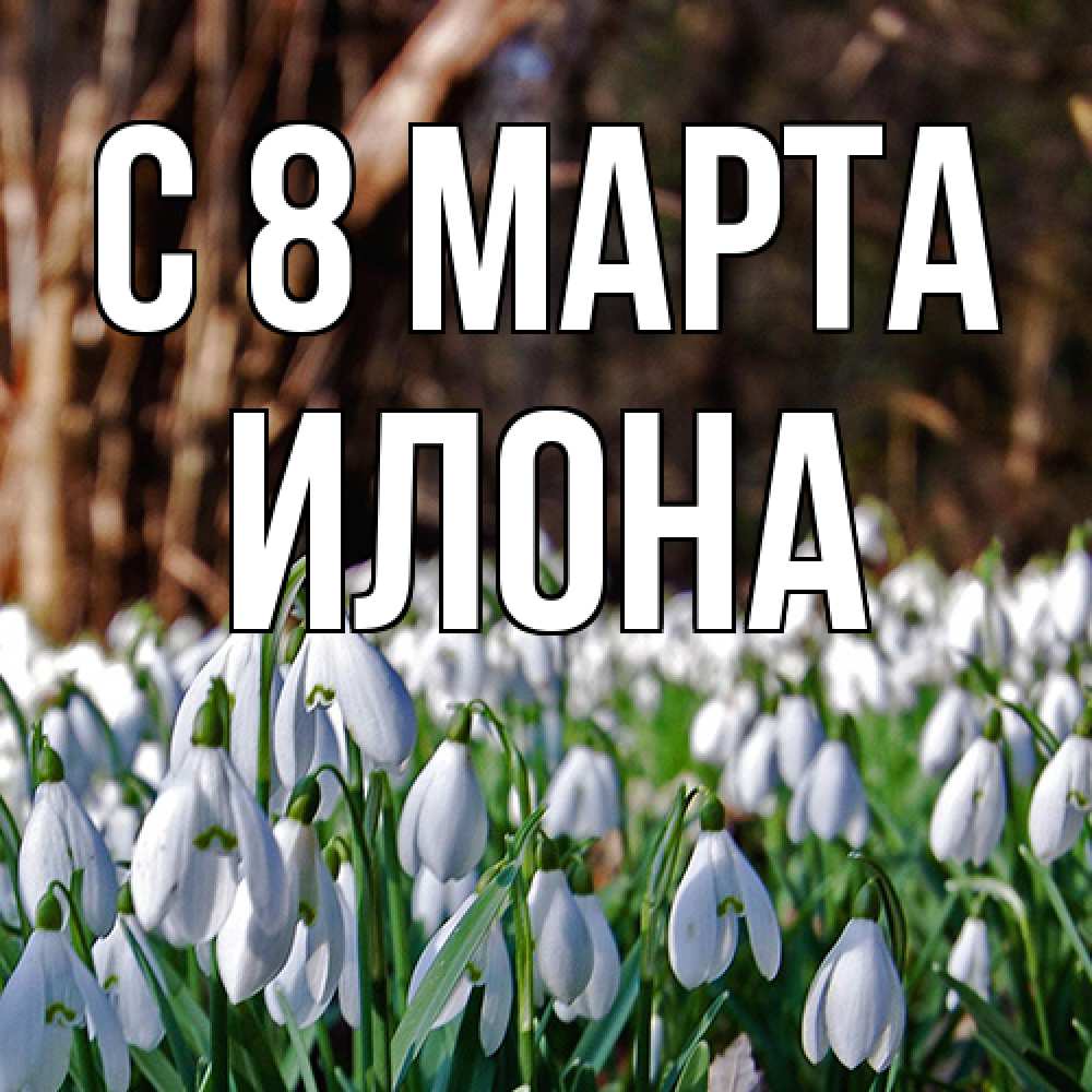 Открытка на каждый день с именем, Илона C 8 МАРТА с подснежниками 1 Прикольная открытка с пожеланием онлайн скачать бесплатно 