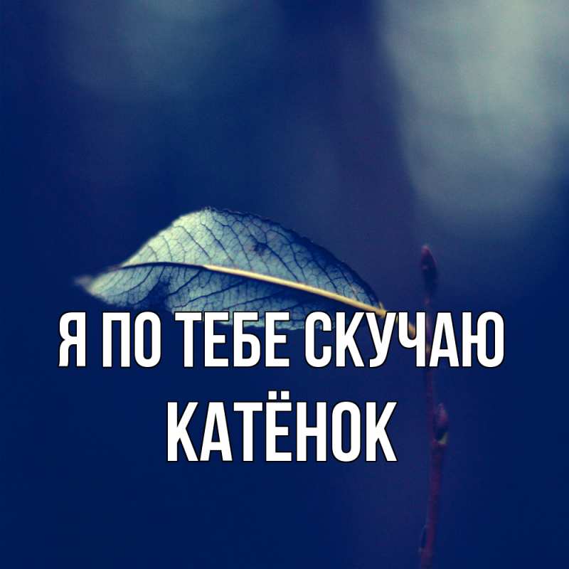 Картинка Я по тебе скучаю, Катёнок