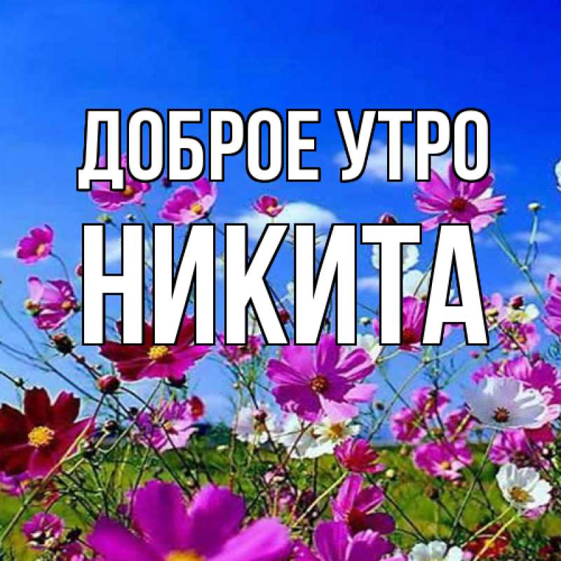 Картинка Доброе утро, Никита