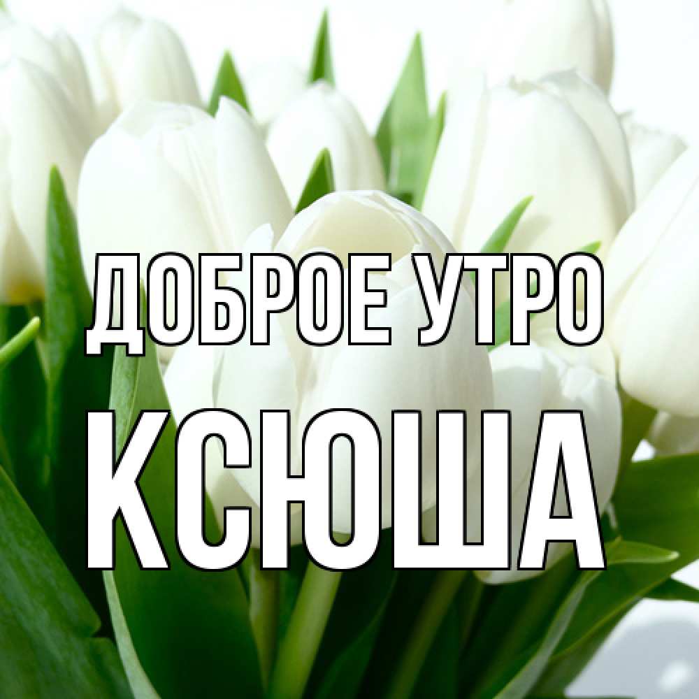 Открытка на каждый день с именем, Ксюша Доброе утро открытки на каждый день по именам Прикольная открытка с пожеланием онлайн скачать бесплатно 