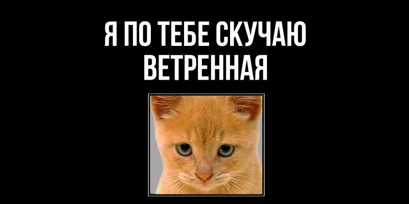 Картинка Я по тебе скучаю, Ветренная