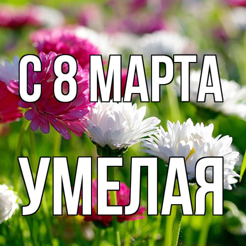 Открытка на каждый день с именем, Умелая C 8 МАРТА международный женский день 1 Прикольная открытка с пожеланием онлайн скачать бесплатно 