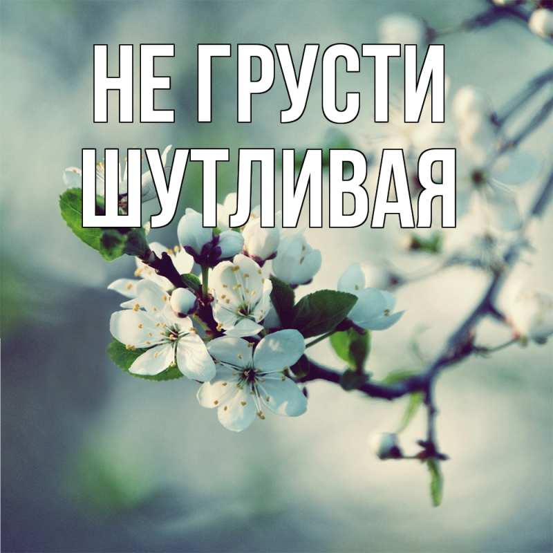 Открытка с именем, Шутливая, Не грусти