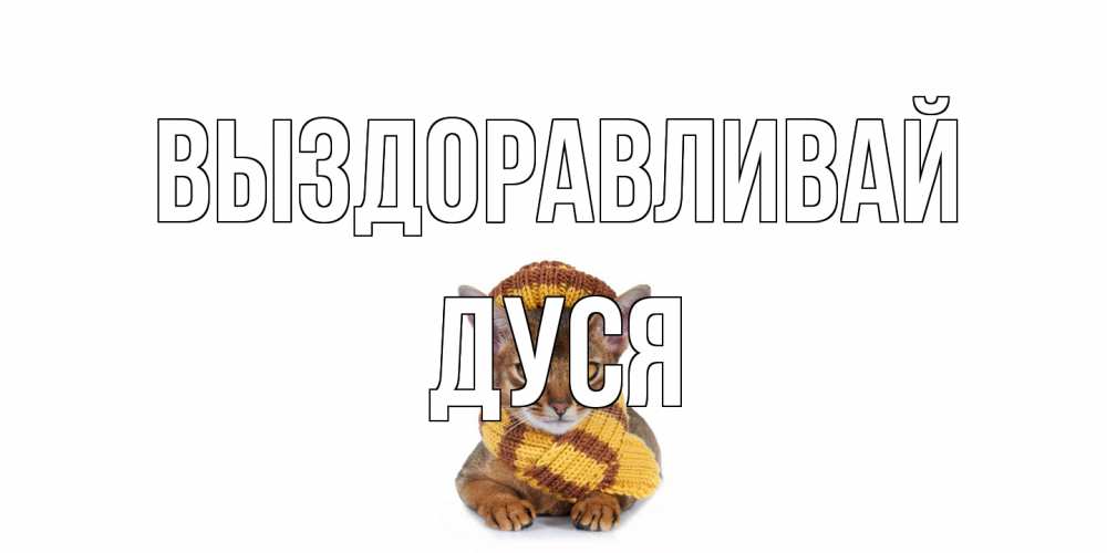 Открытка на каждый день с именем, Дуся Выздоравливай родные не болейте Прикольная открытка с пожеланием онлайн скачать бесплатно 