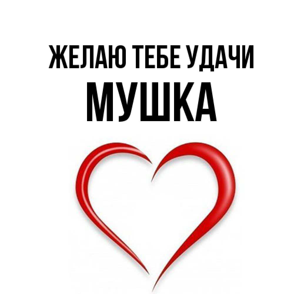 Открытка на каждый день с именем, мушка Желаю тебе удачи для удачливых людей Прикольная открытка с пожеланием онлайн скачать бесплатно 