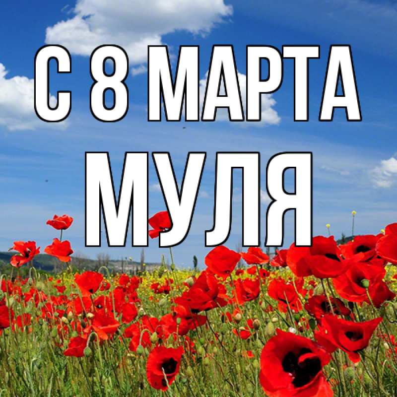 Картинка C 8 МАРТА, Муля