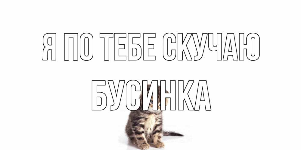 Открытка на каждый день с именем, Бусинка Я по тебе скучаю кот Прикольная открытка с пожеланием онлайн скачать бесплатно 