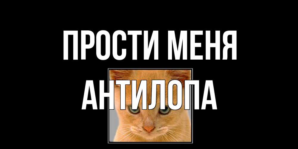 Открытка на каждый день с именем, антилопа Прости меня рыжий грустный кот просит прощения Прикольная открытка с пожеланием онлайн скачать бесплатно 