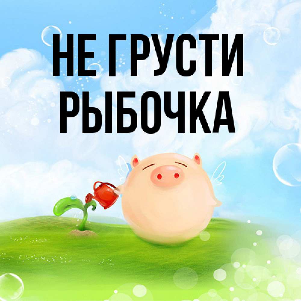 Открытка на каждый день с именем, рыбочка Не грусти поливает цветок порося Прикольная открытка с пожеланием онлайн скачать бесплатно 