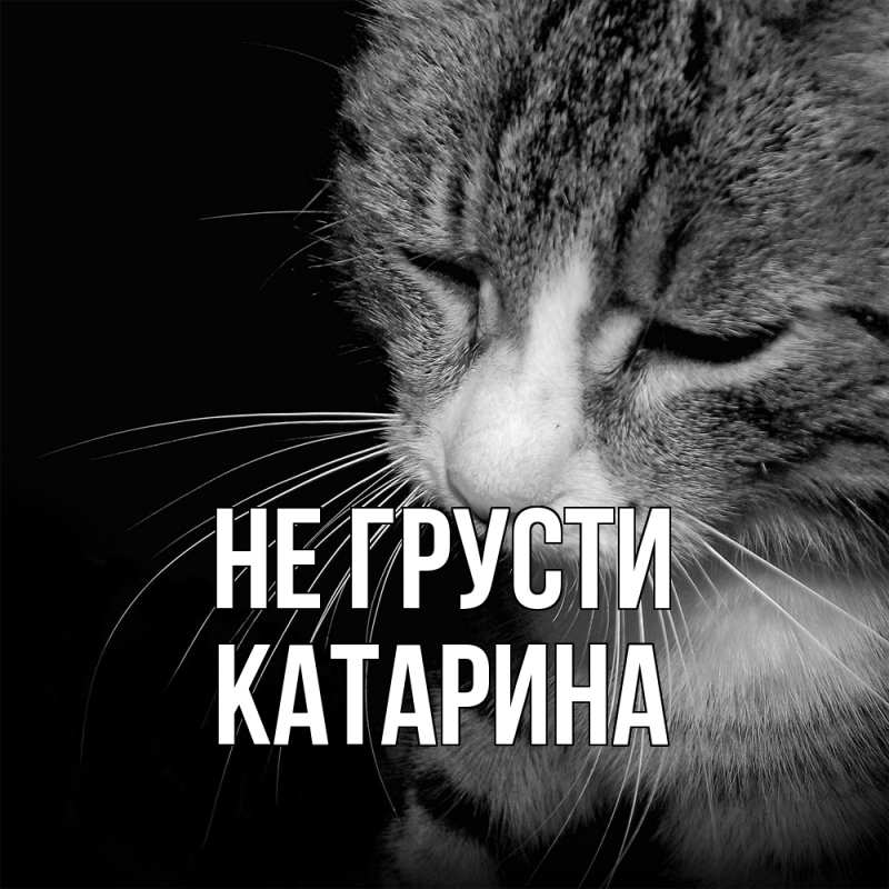Картинка Не грусти, Катарина