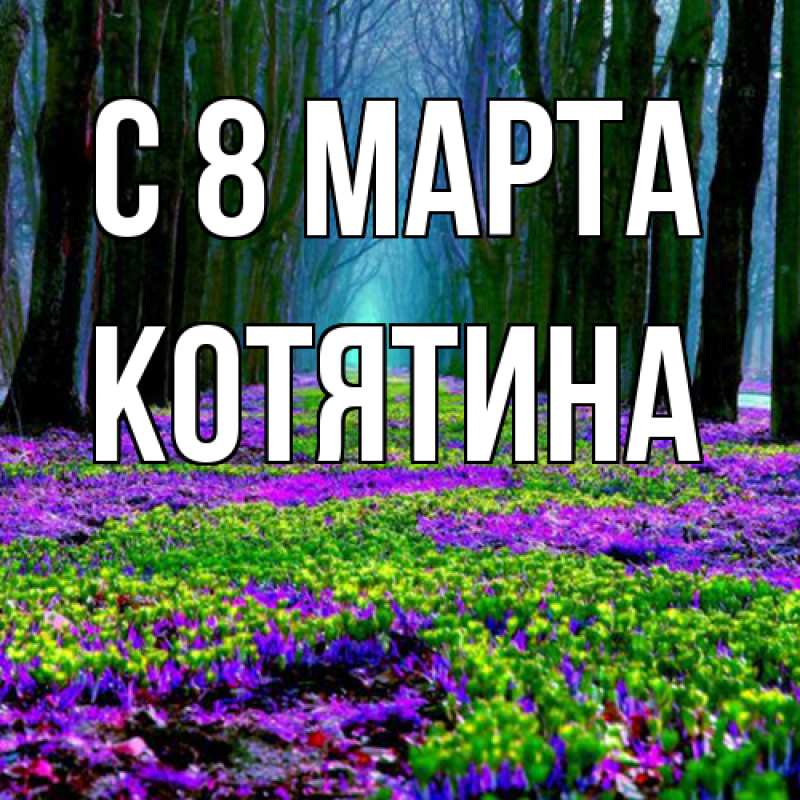 Картинка C 8 МАРТА, Котятина